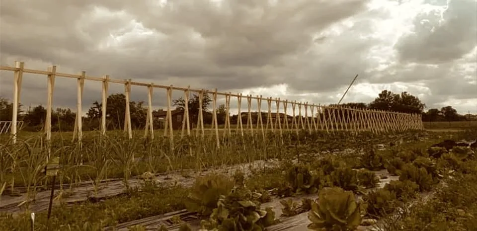 La vita dell'agriturismo — foto 6 di 7