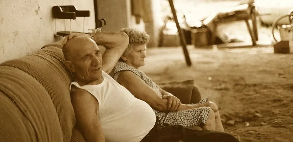 La vita dell'agriturismo — foto 7 di 7